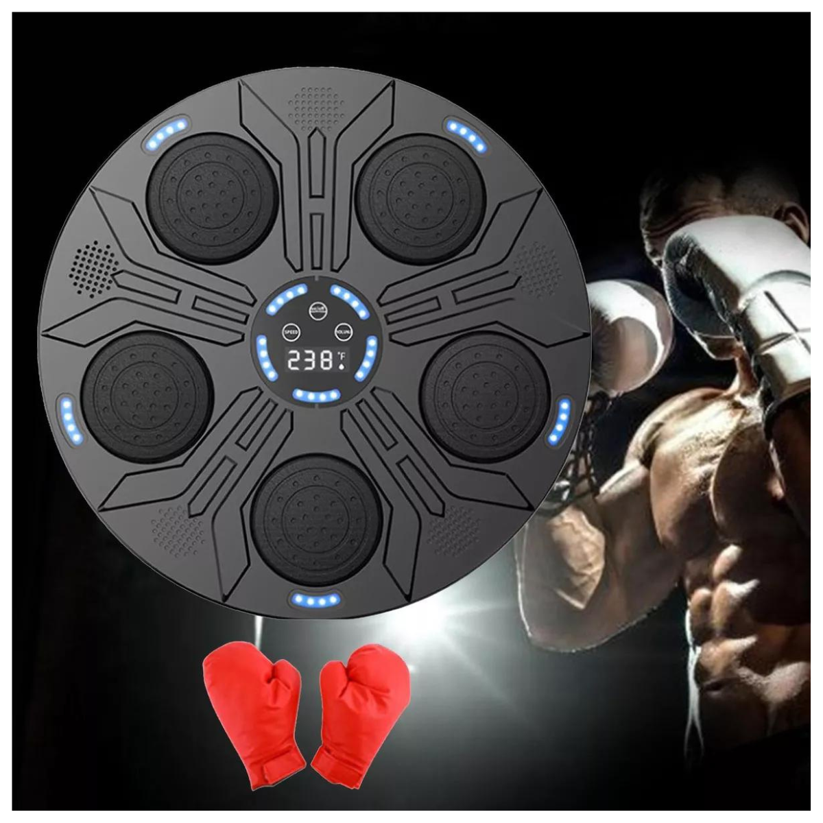 Gimnasio de Boxeo Profesional de Pared